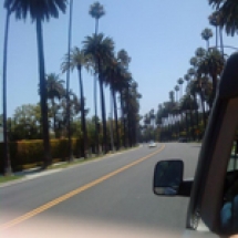 Beverly-Hills-(11)-sml